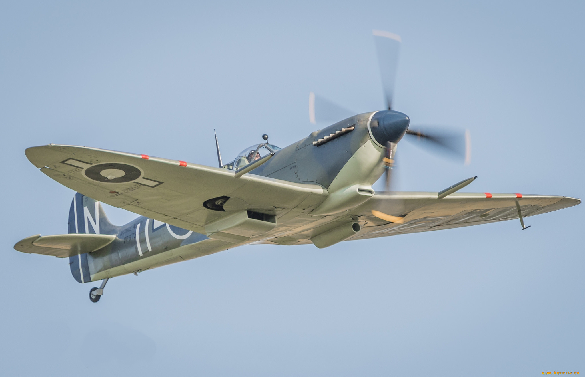 spitfire, ,  , 